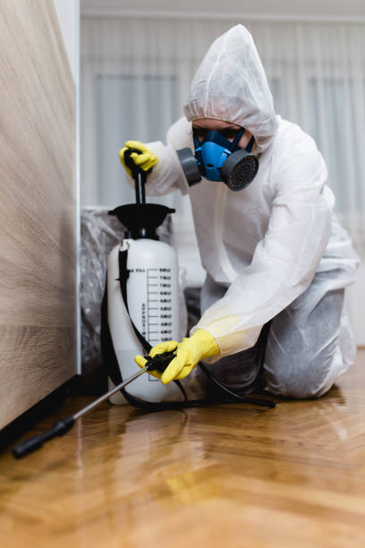 Best Pest Exclusion Services  in Ampere North, NJ